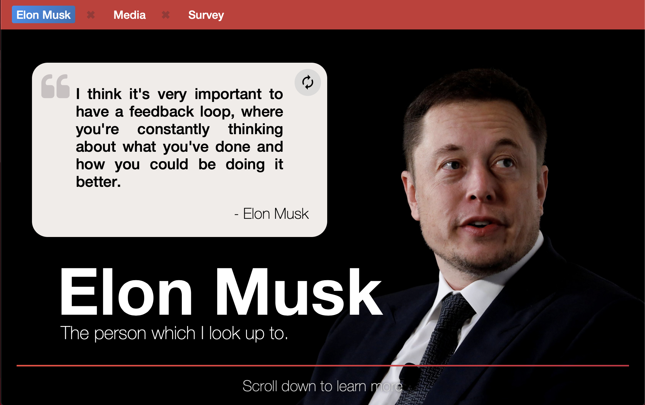 Elon Musk Web Site
